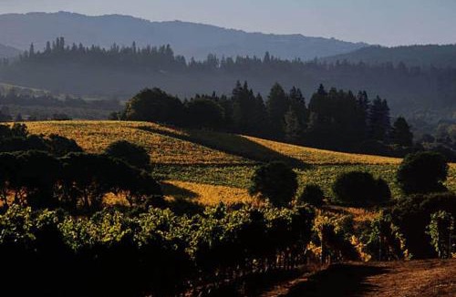 Anderson Valley House | Crispin Cottage