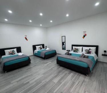 Monte di Pieta Apartment | Cristofarohome