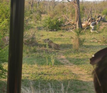 Buffelspruit Villa | Crocodile Bend