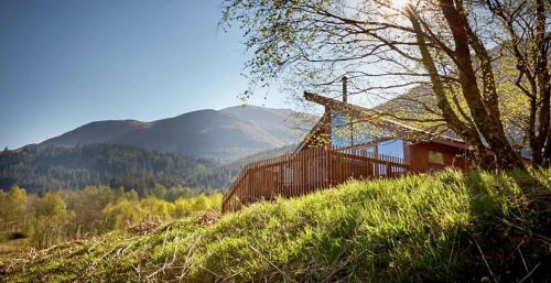 North York Moors National Park Resort | Cropton Forest Cabins - Forest Holidays