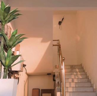 Nungua Apartment | Cross Suites