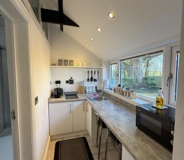 East Ravendale House | Crossways Beech Tree