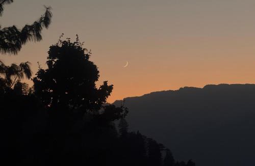Manali Resort | Crystal peak cottage