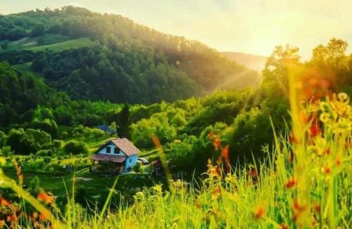 Feldru Other | Cuibul cu Trufe