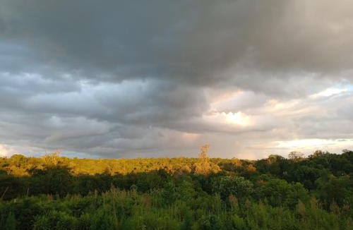 Puerto Iguazu Resort | Curiango Birding Camp