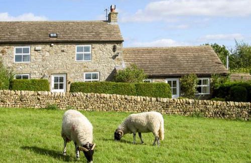 Barnard Castle House | Curlew Cottage