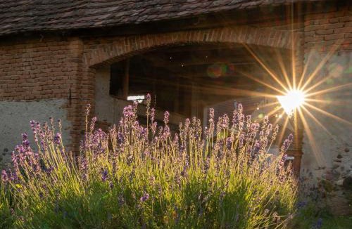 Sebesu de Sus House | Curte la Munte - charming village house