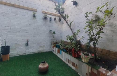 Moyobamba House | Curuwasi