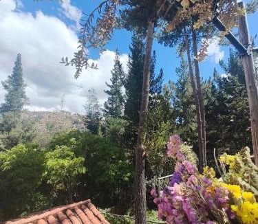 Cusco Ski Chalet | Cusco Forest Gem, 1 Min to Sacsayhuamán, Near the Main Square