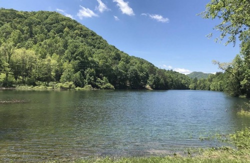 Topton Cabin | Cute little cabin (10 minutes from the Natahala River)