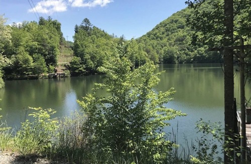 Topton Cabin | Cute little cabin (10 minutes from the Natahala River)