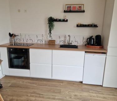 Soindres Apartment | Dépendance cosy