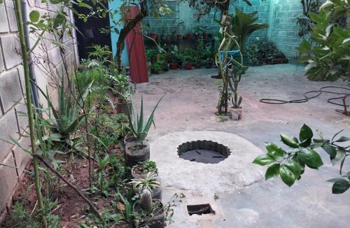 Moyobamba Apartment | D-302
