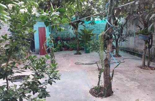 Moyobamba Apartment | D-302