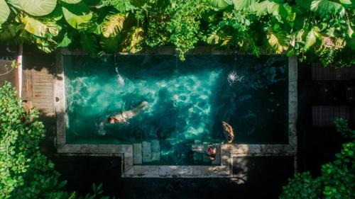 Sunset Road Hostel | Da Housetel Kuta