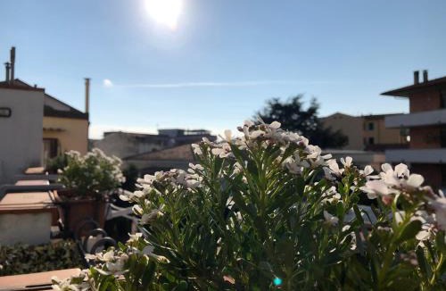Pisa Bed & Breakfast | Da Paola