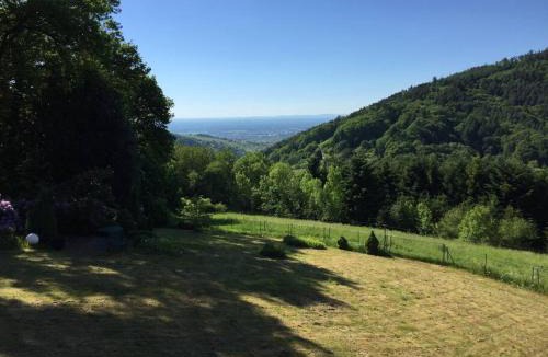 Buehlertal Apartment | Dachstudio in Traumlage mit spektakulärem Ausblick