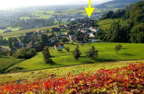 Berneck Apartment | Dachwhg an schöner Aussichtslage