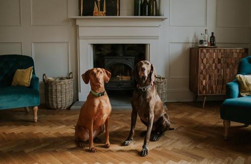 Gilsland Bed & Breakfast | Dacre House