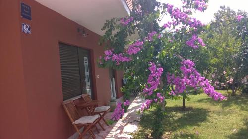 Strozanac Apartment | Dadule Apartments