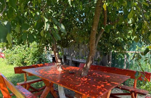 Cartisoara House | Dai Nonni