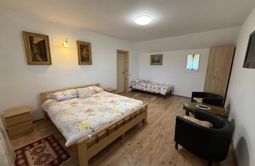 Cartisoara House | Dai Nonni