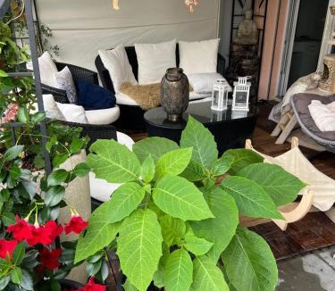 Elgg House | Daianas Corner