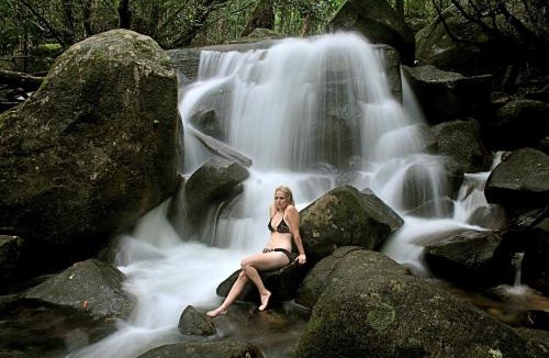 Diwan House | Daintree Cascades
