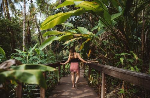 Lower Daintree Resort | Daintree Ecolodge