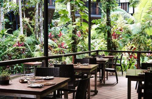 Lower Daintree Resort | Daintree Ecolodge