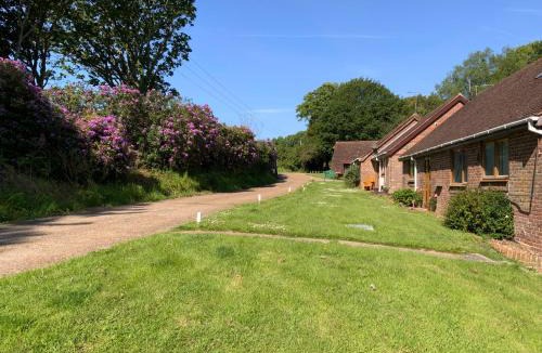 Pevensey House | Daisy Cottage