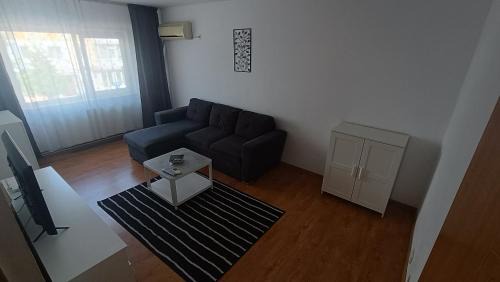 Pitesti Apartment | Dana