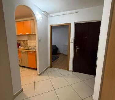 Pitesti Apartment | Dana