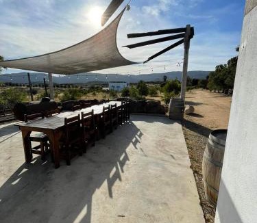 Valle de Guadalupe Other | DaNik Valle