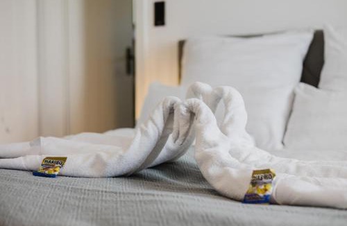Passau Apartment | Danube Rooms Abteistrasse - Self Checkin - kostenlos Parken direkt an der Unterkunft - Ideal für Geschäftsreisende und Städtetrips