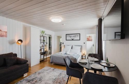 Passau Apartment | Danube Rooms Abteistrasse - Self Checkin - kostenlos Parken direkt an der Unterkunft - Ideal für Geschäftsreisende und Städtetrips
