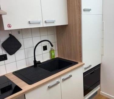 Passau Apartment | Danube Rooms Abteistrasse - Self Checkin - kostenlos Parken direkt an der Unterkunft - Ideal für Geschäftsreisende und Städtetrips