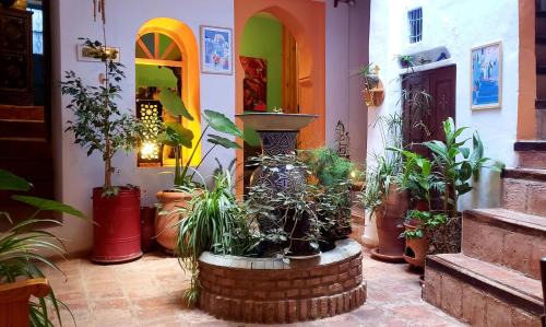 Medina of Chefchaouen Bed & Breakfast | Dar Dalia