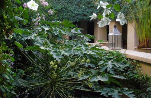 Taroudannt House | Dar Zahia