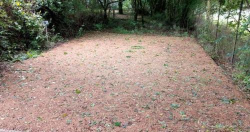 Dargle Other | Dargle Camping & Caravan Site