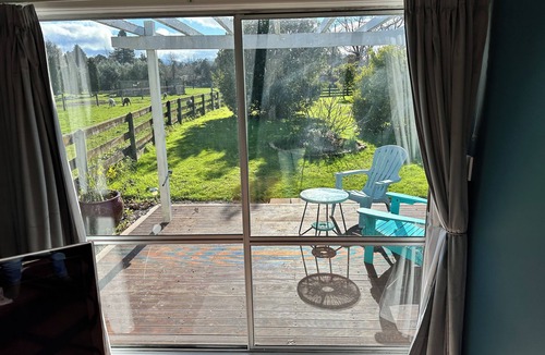 Greytown Cottage | Dark Sky Cottage is set on a semi-rural lifestyle block close to the town centre