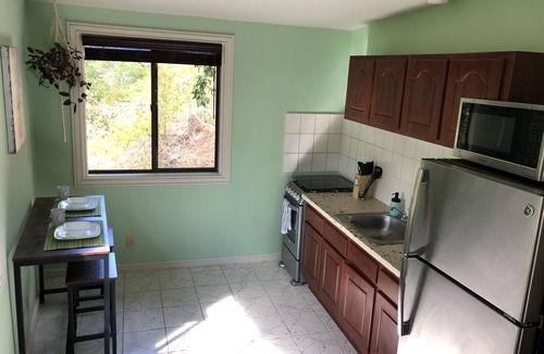 Estate Frenchman Bay Apartment | Darling Palms Tree House: Beachside Studio Oasis