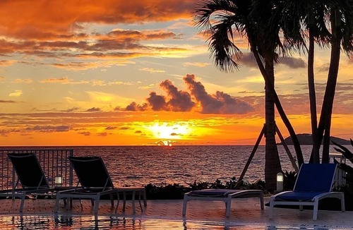 Estate Frenchman Bay Apartment | Darling Palms Tree House: Beachside Studio Oasis