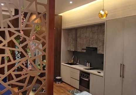 Greater Noida Apartment | Darshana Studios#Galaxyblue sapphire#StylishStudio