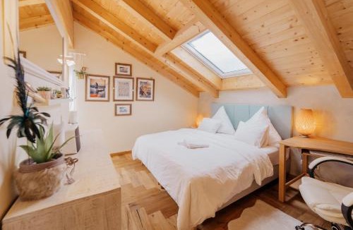 Medraz Apartment | Das Mountain Getaway - Luxury Penthouse Stubai Super Card