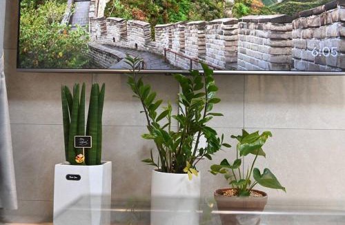 Bongmyeong-dong Apartment | Dasi 2