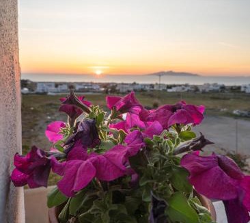 Messaria Apartment | Dauti Gold Suites