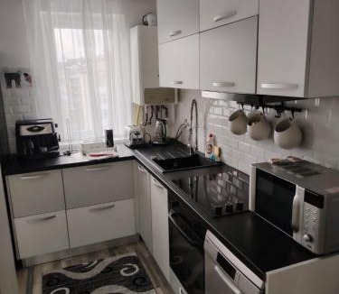 Cavnic Apartment | DAVID Residence