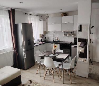 Cavnic Apartment | DAVID Residence