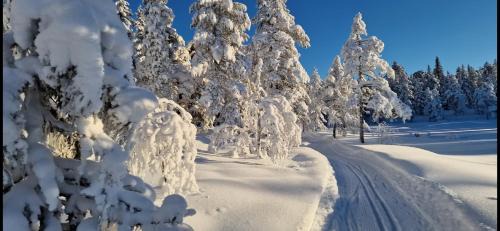Sndre Land Ski Chalet | DaVita Ranch